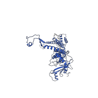 30134_7bou_D_v1-1
GP8 of Mature Bacteriophage T7