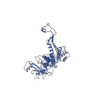 30134_7bou_F_v1-0
GP8 of Mature Bacteriophage T7