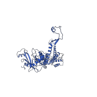 30134_7bou_G_v1-0
GP8 of Mature Bacteriophage T7