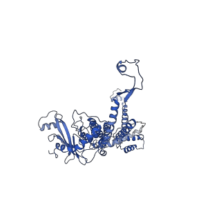 30134_7bou_G_v1-1
GP8 of Mature Bacteriophage T7