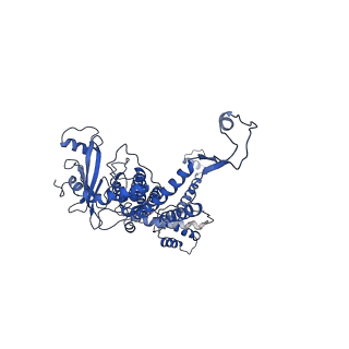 30134_7bou_H_v1-1
GP8 of Mature Bacteriophage T7