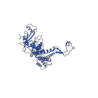 30134_7bou_I_v1-0
GP8 of Mature Bacteriophage T7