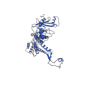 30134_7bou_K_v1-0
GP8 of Mature Bacteriophage T7