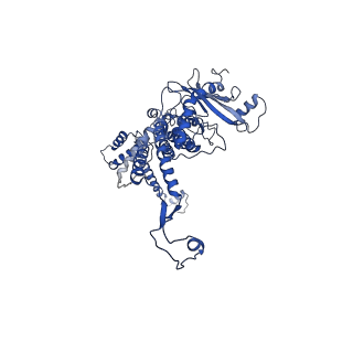 30134_7bou_L_v1-1
GP8 of Mature Bacteriophage T7