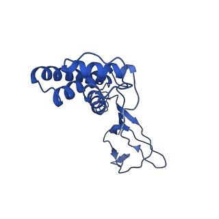 30135_7box_M_v1-0
Mature bacteriorphage t7 tail adaptor protein gp11