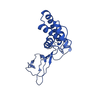 30135_7box_O_v1-1
Mature bacteriorphage t7 tail adaptor protein gp11