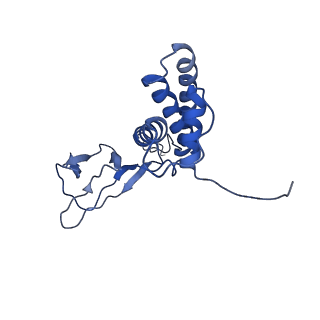 30135_7box_P_v1-1
Mature bacteriorphage t7 tail adaptor protein gp11