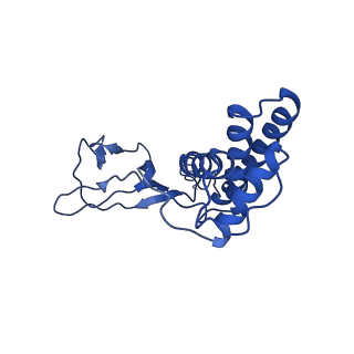 30135_7box_Q_v1-0
Mature bacteriorphage t7 tail adaptor protein gp11