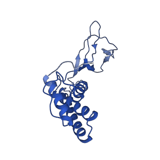 30135_7box_U_v1-0
Mature bacteriorphage t7 tail adaptor protein gp11