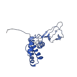 30135_7box_V_v1-0
Mature bacteriorphage t7 tail adaptor protein gp11
