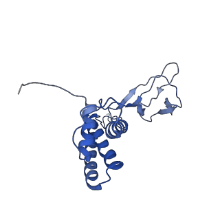 30135_7box_V_v1-1
Mature bacteriorphage t7 tail adaptor protein gp11