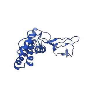 30135_7box_W_v1-0
Mature bacteriorphage t7 tail adaptor protein gp11