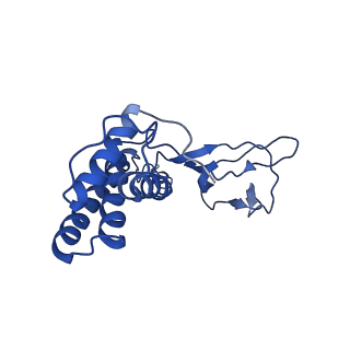 30135_7box_W_v1-1
Mature bacteriorphage t7 tail adaptor protein gp11