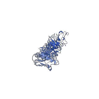 30136_7boy_s_v1-1
Mature bacteriorphage t7 tail nozzle protein gp12