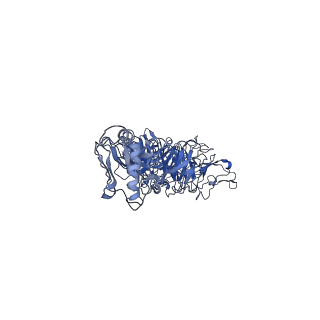 30136_7boy_t_v1-0
Mature bacteriorphage t7 tail nozzle protein gp12