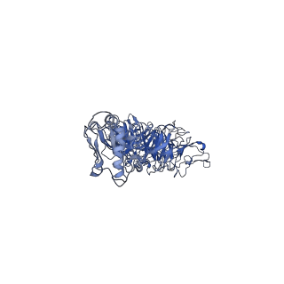 30136_7boy_t_v1-1
Mature bacteriorphage t7 tail nozzle protein gp12