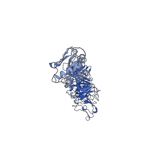 30136_7boy_u_v1-1
Mature bacteriorphage t7 tail nozzle protein gp12