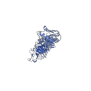 30136_7boy_v_v1-0
Mature bacteriorphage t7 tail nozzle protein gp12