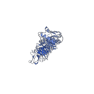 30136_7boy_v_v1-1
Mature bacteriorphage t7 tail nozzle protein gp12