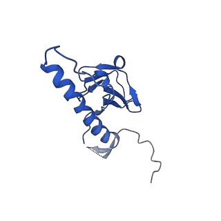 30137_7boz_a_v1-0
N-teminal of mature bacteriophage T7 tail fiber protein gp17