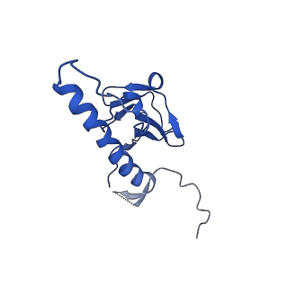 30137_7boz_a_v1-1
N-teminal of mature bacteriophage T7 tail fiber protein gp17