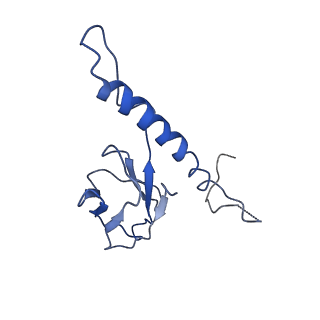 30137_7boz_b_v1-0
N-teminal of mature bacteriophage T7 tail fiber protein gp17