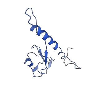 30137_7boz_b_v1-1
N-teminal of mature bacteriophage T7 tail fiber protein gp17