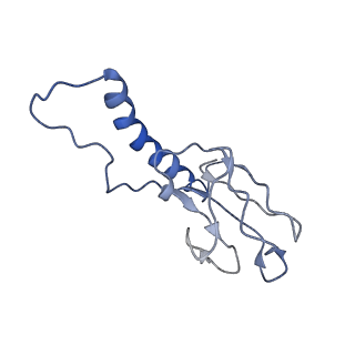 30137_7boz_c_v1-0
N-teminal of mature bacteriophage T7 tail fiber protein gp17