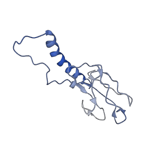 30137_7boz_c_v1-1
N-teminal of mature bacteriophage T7 tail fiber protein gp17