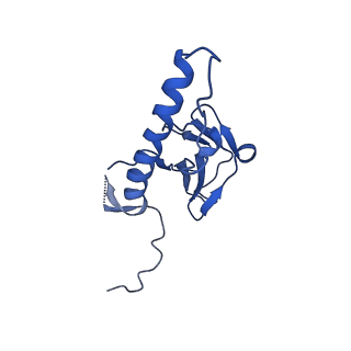30137_7boz_d_v1-0
N-teminal of mature bacteriophage T7 tail fiber protein gp17