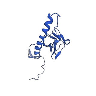 30137_7boz_d_v1-1
N-teminal of mature bacteriophage T7 tail fiber protein gp17