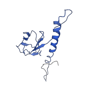 30137_7boz_e_v1-0
N-teminal of mature bacteriophage T7 tail fiber protein gp17