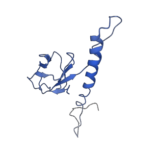 30137_7boz_e_v1-1
N-teminal of mature bacteriophage T7 tail fiber protein gp17