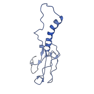 30137_7boz_f_v1-0
N-teminal of mature bacteriophage T7 tail fiber protein gp17