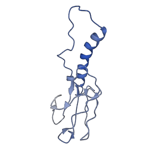 30137_7boz_f_v1-1
N-teminal of mature bacteriophage T7 tail fiber protein gp17