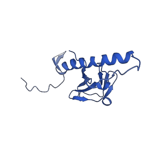 30137_7boz_g_v1-0
N-teminal of mature bacteriophage T7 tail fiber protein gp17