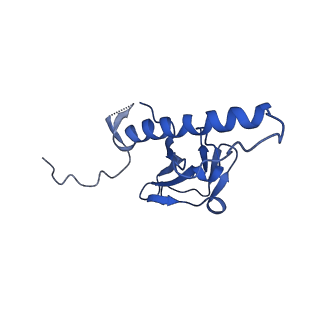 30137_7boz_g_v1-1
N-teminal of mature bacteriophage T7 tail fiber protein gp17