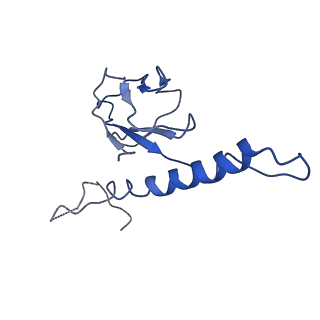 30137_7boz_h_v1-0
N-teminal of mature bacteriophage T7 tail fiber protein gp17