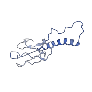 30137_7boz_i_v1-0
N-teminal of mature bacteriophage T7 tail fiber protein gp17