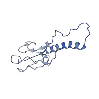 30137_7boz_i_v1-1
N-teminal of mature bacteriophage T7 tail fiber protein gp17