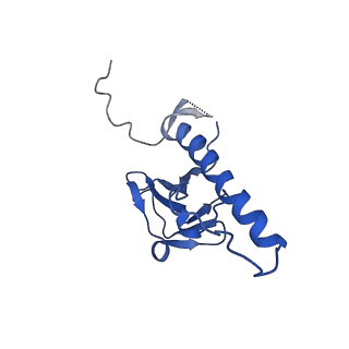 30137_7boz_j_v1-0
N-teminal of mature bacteriophage T7 tail fiber protein gp17