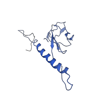 30137_7boz_k_v1-0
N-teminal of mature bacteriophage T7 tail fiber protein gp17