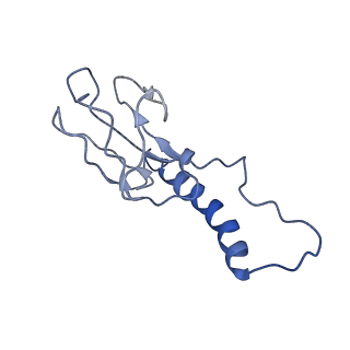 30137_7boz_l_v1-0
N-teminal of mature bacteriophage T7 tail fiber protein gp17