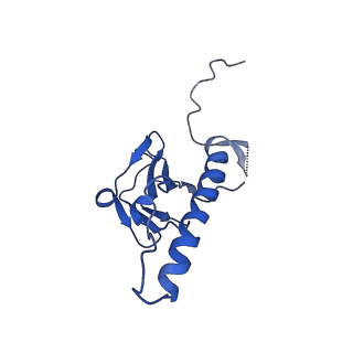 30137_7boz_m_v1-0
N-teminal of mature bacteriophage T7 tail fiber protein gp17