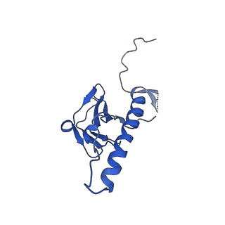 30137_7boz_m_v1-1
N-teminal of mature bacteriophage T7 tail fiber protein gp17