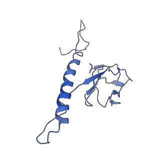 30137_7boz_n_v1-0
N-teminal of mature bacteriophage T7 tail fiber protein gp17
