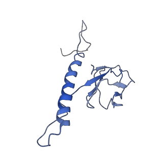 30137_7boz_n_v1-1
N-teminal of mature bacteriophage T7 tail fiber protein gp17