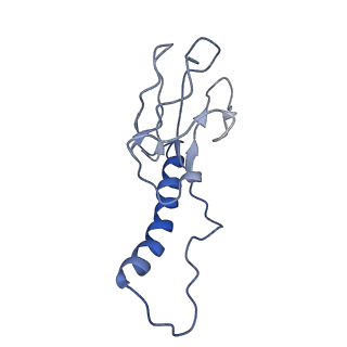 30137_7boz_o_v1-0
N-teminal of mature bacteriophage T7 tail fiber protein gp17