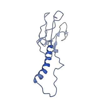 30137_7boz_o_v1-1
N-teminal of mature bacteriophage T7 tail fiber protein gp17