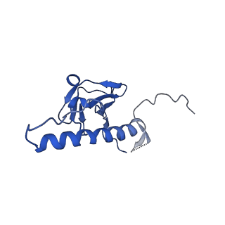 30137_7boz_p_v1-0
N-teminal of mature bacteriophage T7 tail fiber protein gp17